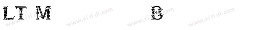 LT Museum Bold字体转换